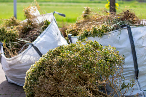 Professional Junk Removal Services in Indian Hills, NM